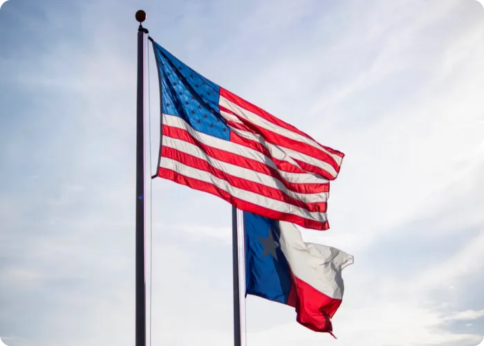 Technology Partner USA