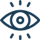 Vision Icon